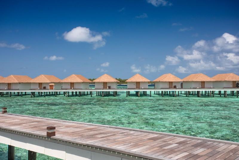 Cinnamon Velifushi