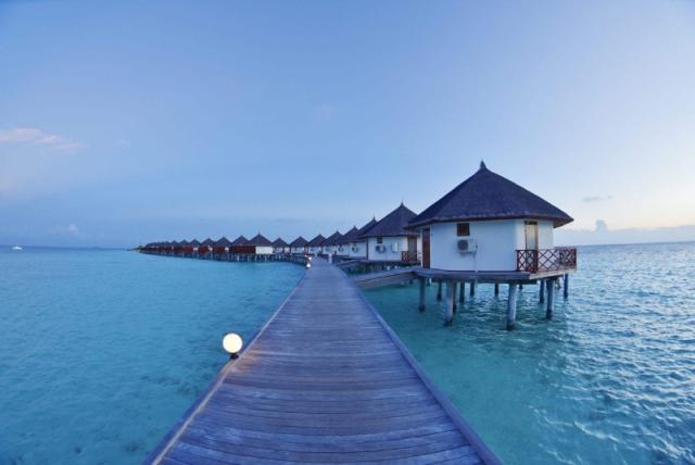 Safari Island Resort