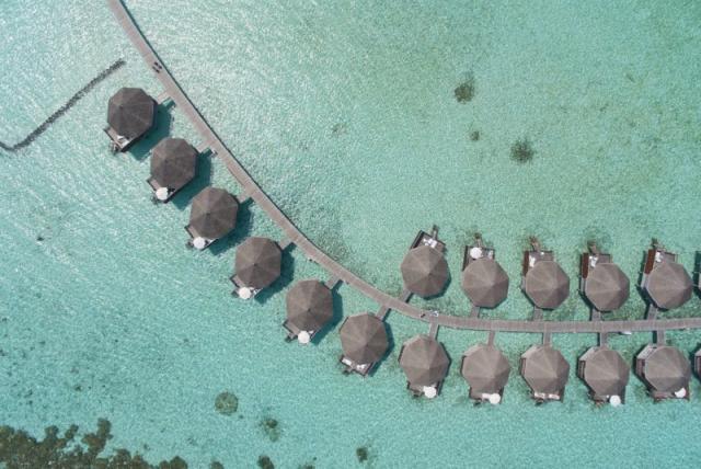 Safari Island Resort
