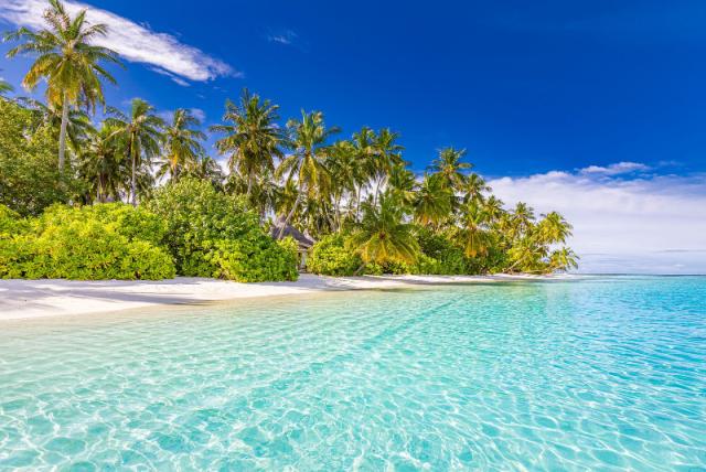 Sun Siyam Vilu Reef