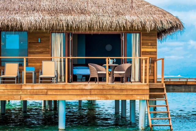 Cocoon Maldives