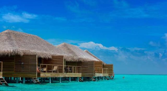 Cocoon Maldives
