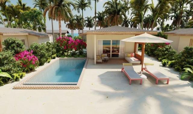 JOY Island