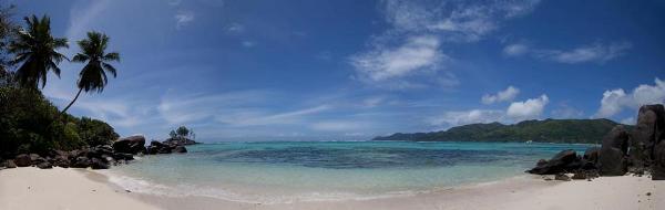 Coral Strand Smart Choice