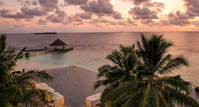 Coco Palm Bodu Hithi