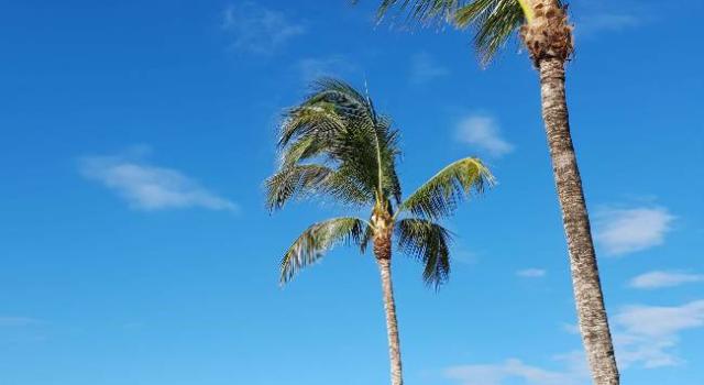 Le Preskil Beach Resort
