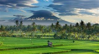 Pobytově Poznávací Bali + Ubud Champlung Sari Ubud + Jayakarta Legian