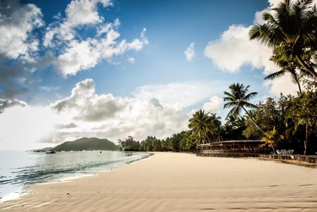 Paradise Sun