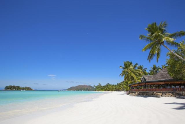 Paradise Sun