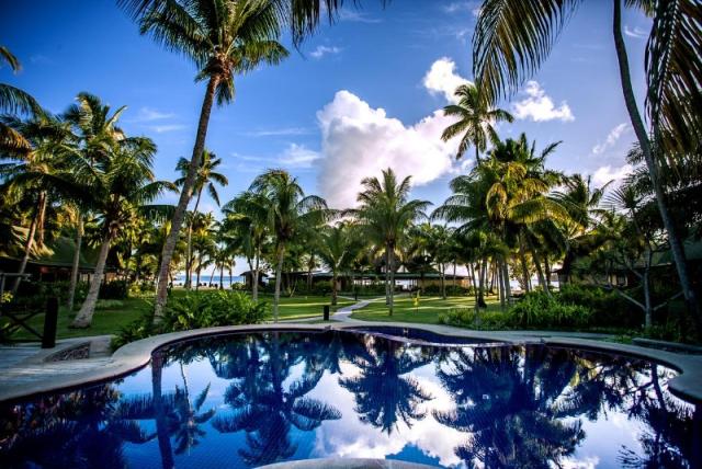 Paradise Sun