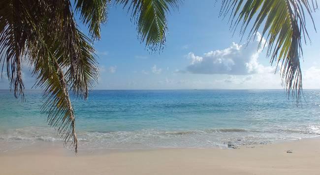Beach 1.JPG