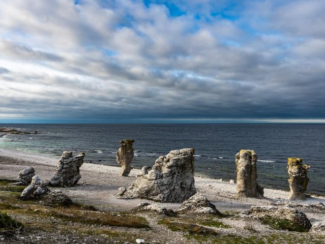 Gotland 5
