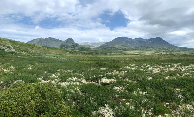 Národní park Rondane