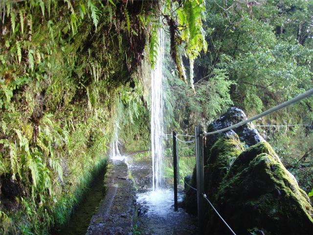Madeira a jeji typické levády
