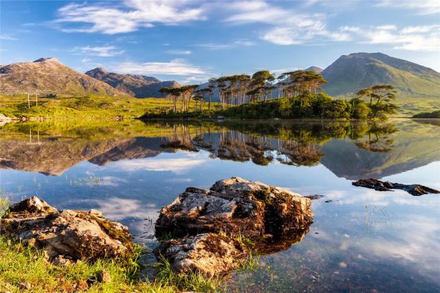 CONNEMARA_shutterstock_423870310_9