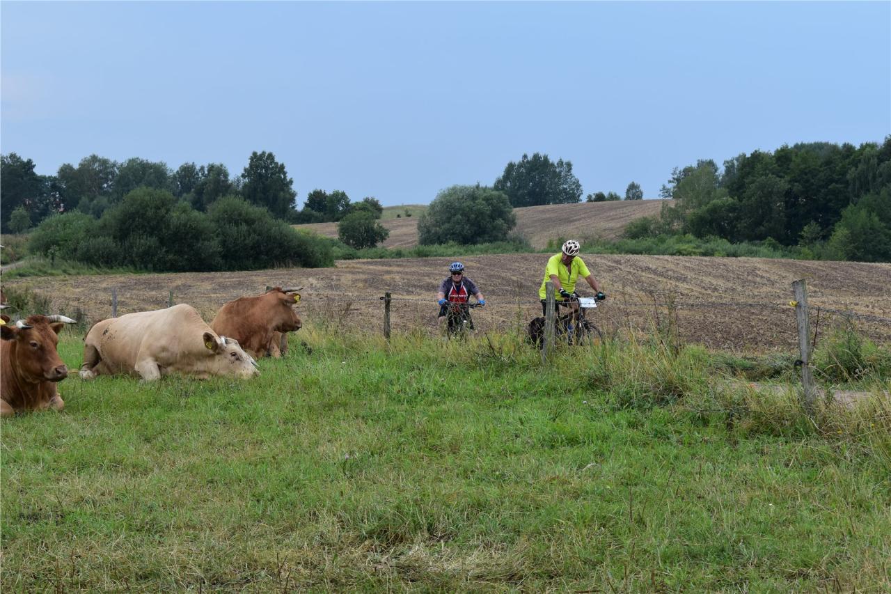 Mazury - foto D. Hakl