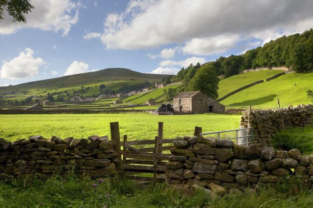 Anglie_Yorkshire_Dales_NP_342281211