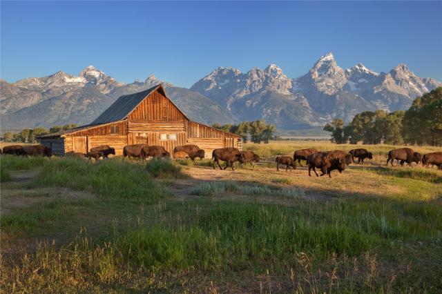 Grand Teton - USA