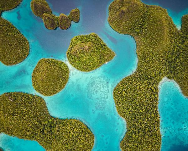 indonesie-raja-ampat-2024-6.jpeg