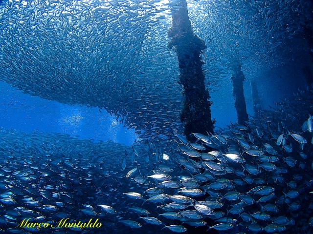 indonesie-raja-ampat-15