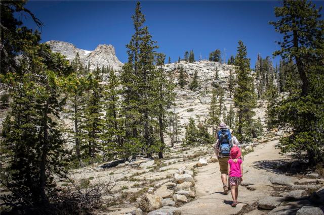 usa_kings canyon_shutterstock_1127172179