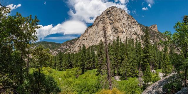 usa_kings canyon_shutterstock_1497642662