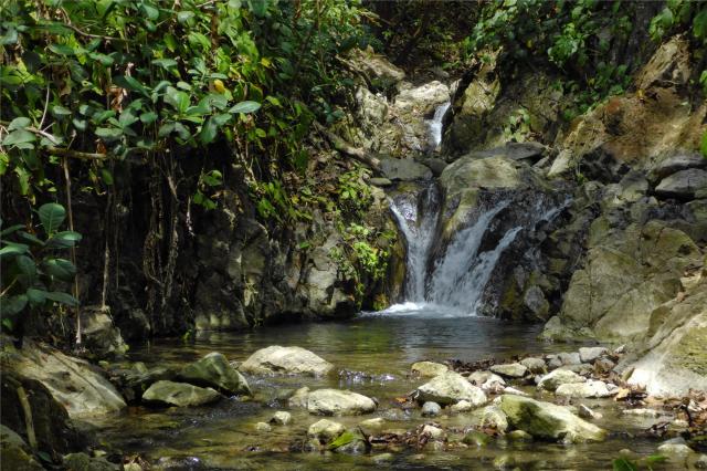 Kostarika_NP Corcovado_shutterstock_1401863390