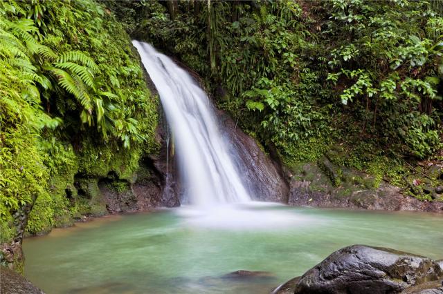 Guadeloupe - Cascade aux Ecrevisses