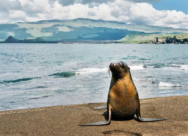 Galapágy
