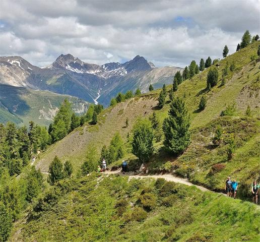 Monta Della Neve - Livigno