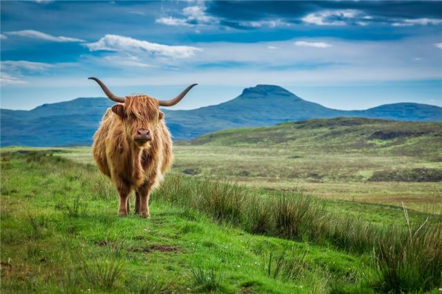 Skotsko - Isle of Skye