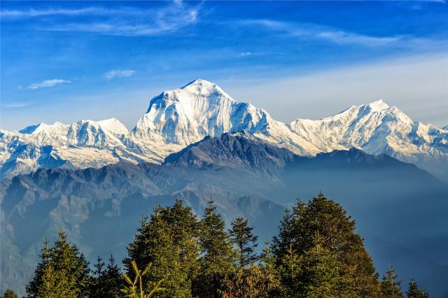 Nepál - hora Dhaulagiri - pohled z Poon Hill
