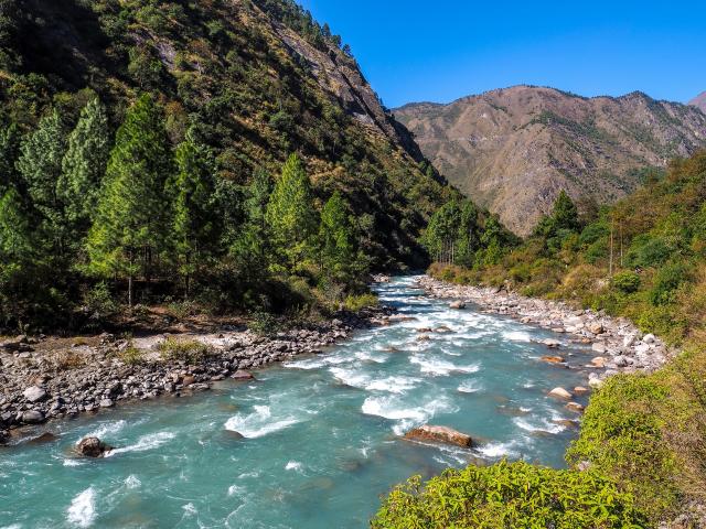 shutterstock_270529457