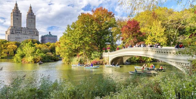 New York - Central park