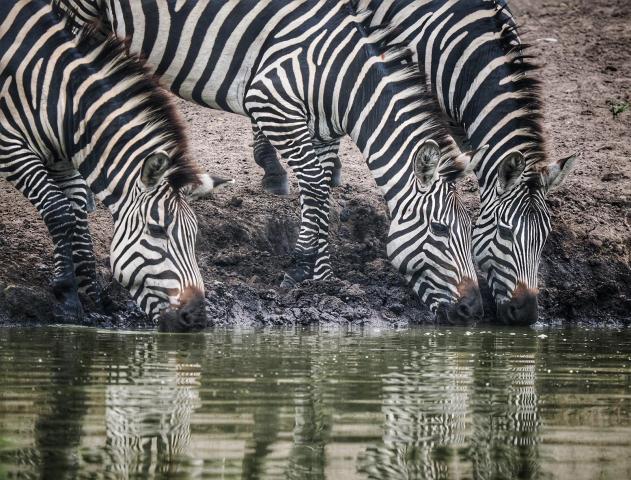 Uganda