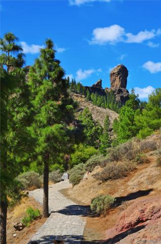 Španělsko_Gran Canaria_dreamstime_xl_39027885