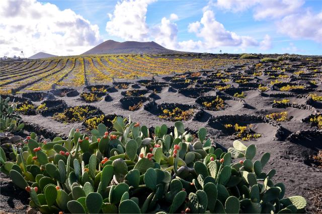 Lanzarote