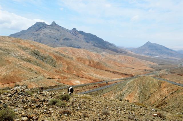 Fuerteventura