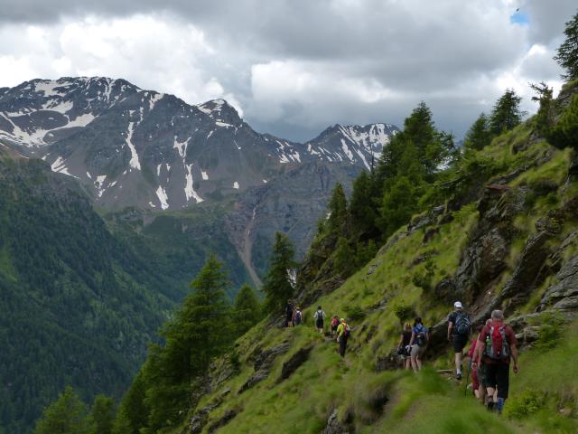 pta-passo-tonale-2014-kaman-12.JPG