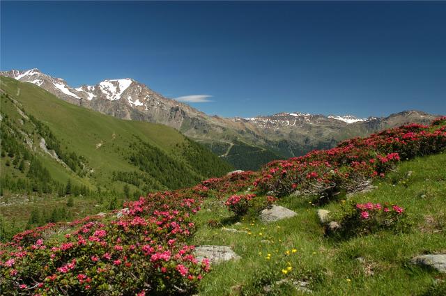 italie-passo-tonale-5