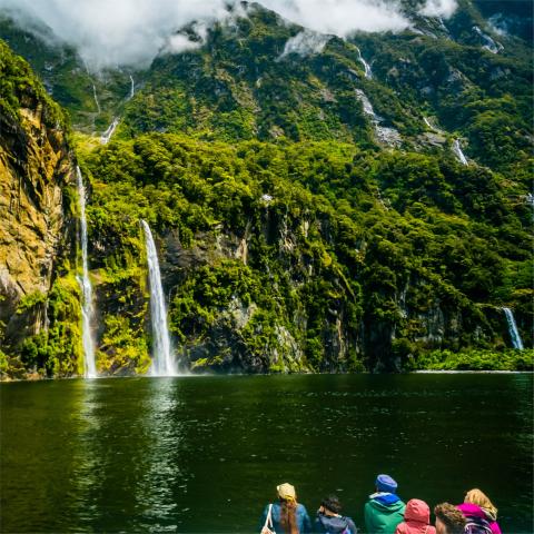 Nový Zeland - Milford Sound