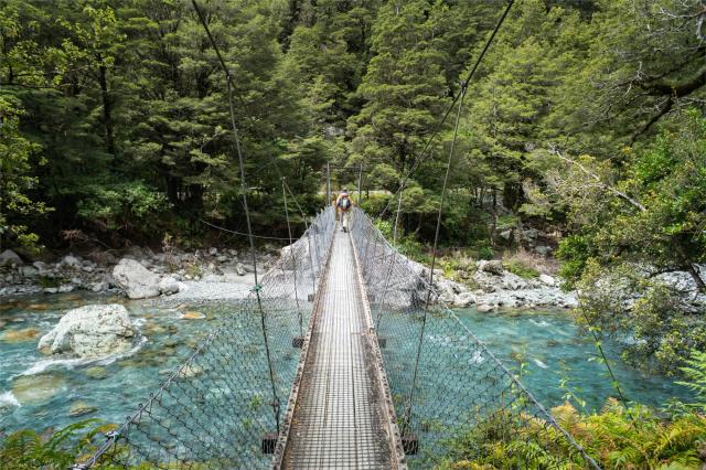 Nový Zeland - NP Fiordland