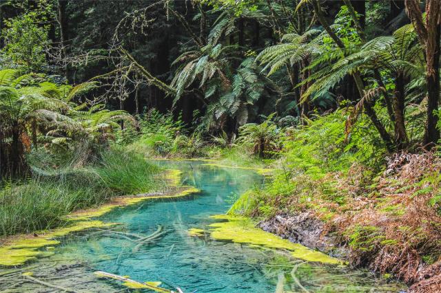 Nový Zeland - Rotorua