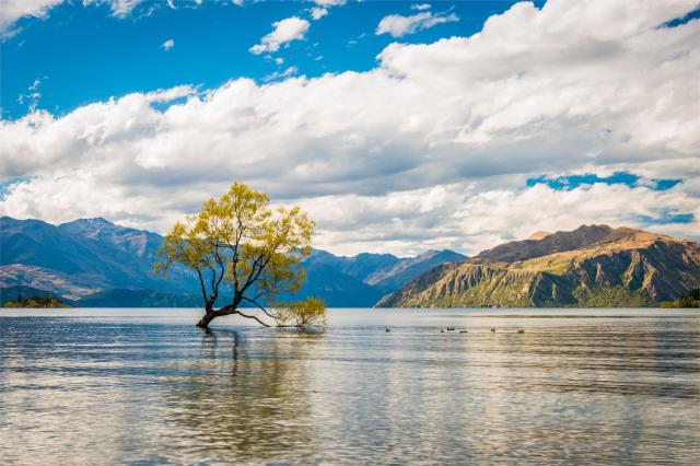 Nový Zéland - Wanaka