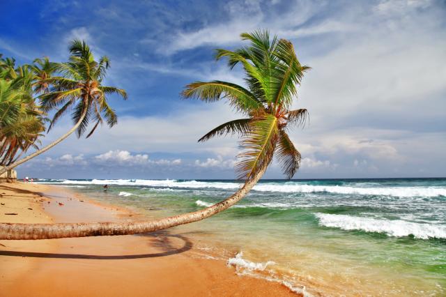 pta-sri-lanka-2012-1