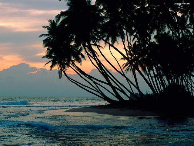 Sri_Lanka_Cejlon_03