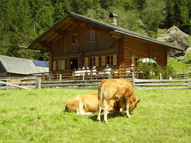 Dachstein
