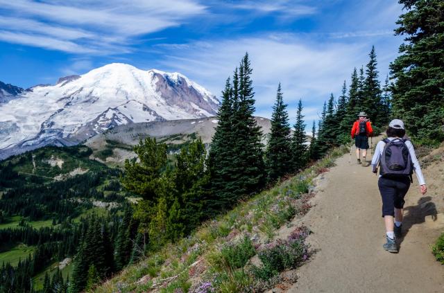 USA - národní park Mt. Rainier