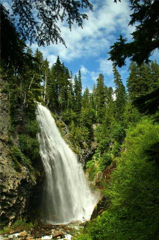 USA - Mount Rainier