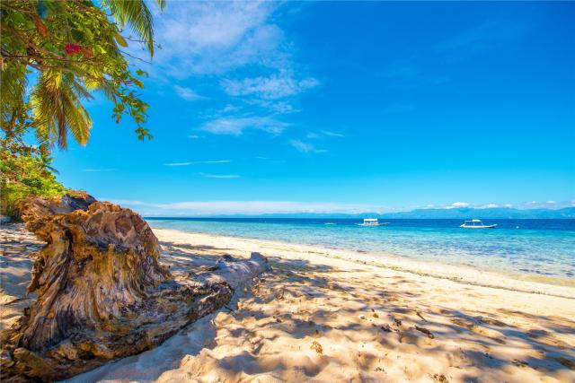 Filipíny - za velrybími žraloky a plážemi Cebu, Panglaa, Boholu a Palawanu
